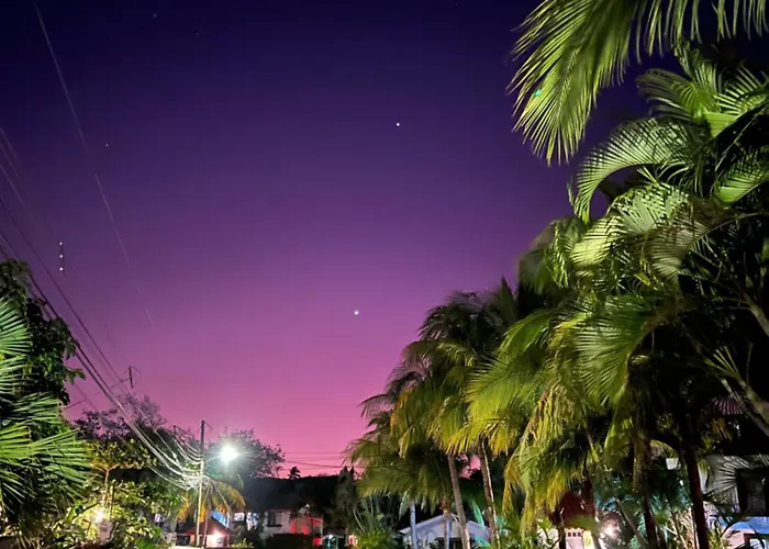 Сasa de vacaciones Tropical 2nd Floor With Rooftop *